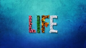 「子供を産まない選択」それもまた一つの人生｜結婚後の新しい生き方と幸福の多様性