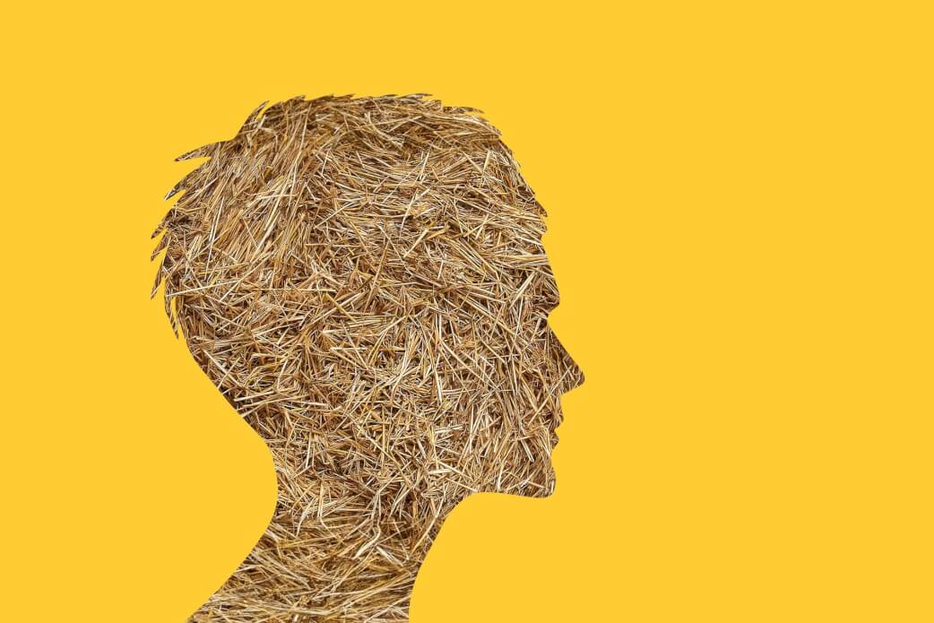 「無関心」こそが時代の戦略である理由｜必要なのは正直な自分を守ること